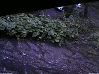 長野県菅平高原 ゆたか山荘 駐車場 2025/08/22 05:00