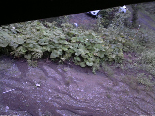長野県菅平高原 ゆたか山荘 駐車場 2025/08/22 05:15