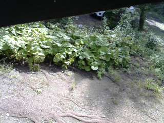 長野県菅平高原 ゆたか山荘 駐車場 2025/08/22 08:15