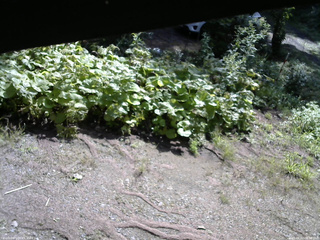 長野県菅平高原 ゆたか山荘 駐車場 2025/08/22 08:30