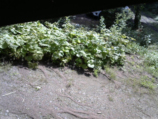 長野県菅平高原 ゆたか山荘 駐車場 2025/08/22 08:45