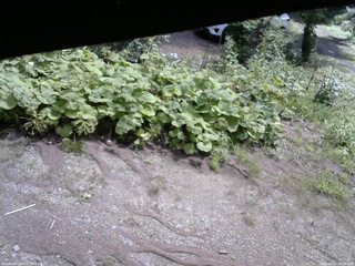 長野県菅平高原 ゆたか山荘 駐車場 2025/08/22 09:45