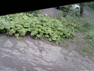 長野県菅平高原 ゆたか山荘 駐車場 2025/08/22 13:00