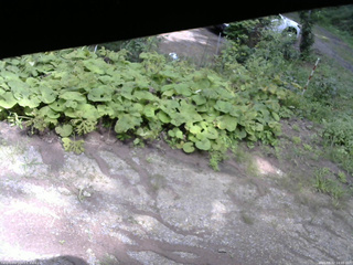 長野県菅平高原 ゆたか山荘 駐車場 2025/08/22 14:00