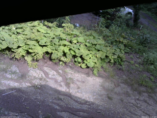 長野県菅平高原 ゆたか山荘 駐車場 2025/08/22 14:45