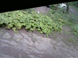 長野県菅平高原 ゆたか山荘 駐車場 2025/08/22 15:00