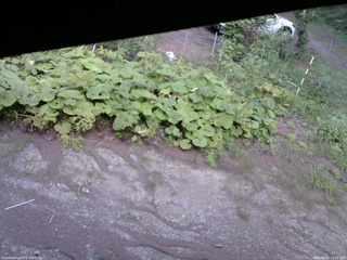 長野県菅平高原 ゆたか山荘 駐車場 2025/08/22 15:15