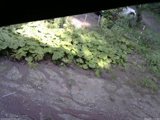 長野県菅平高原 ゆたか山荘 駐車場 2025/08/22 15:45