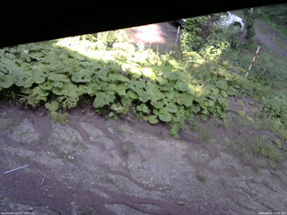 長野県菅平高原 ゆたか山荘 駐車場 2025/08/22 16:00