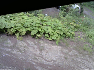 長野県菅平高原 ゆたか山荘 駐車場 2025/08/22 17:00