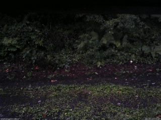 長野県菅平高原 ゆたか山荘 南側 2025/08/23 05:00