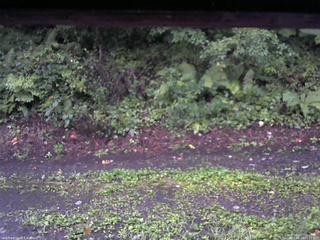 長野県菅平高原 ゆたか山荘 南側 2025/08/23 05:15