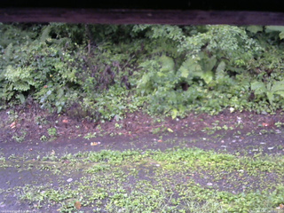 長野県菅平高原 ゆたか山荘 南側 2025/08/23 05:45