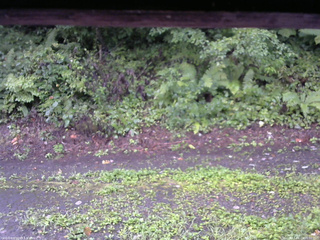 長野県菅平高原 ゆたか山荘 南側 2025/08/23 06:00