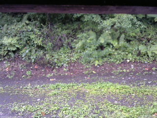 長野県菅平高原 ゆたか山荘 南側 2025/08/23 06:15