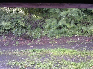 長野県菅平高原 ゆたか山荘 南側 2025/08/23 07:00