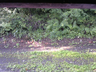 長野県菅平高原 ゆたか山荘 南側 2025/08/23 07:15