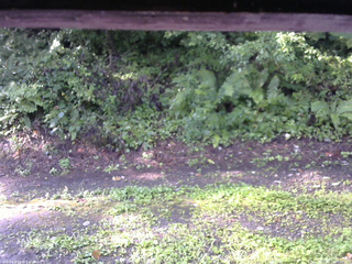 長野県菅平高原 ゆたか山荘 南側 2025/08/23 07:30