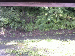 長野県菅平高原 ゆたか山荘 南側 2025/08/23 07:45