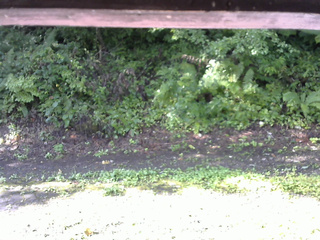 長野県菅平高原 ゆたか山荘 南側 2025/08/23 08:00