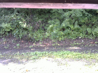 長野県菅平高原 ゆたか山荘 南側 2025/08/23 08:15