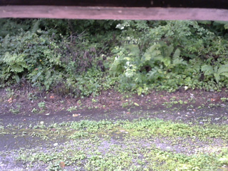 長野県菅平高原 ゆたか山荘 南側 2025/08/23 09:00