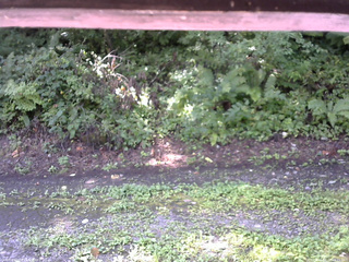 長野県菅平高原 ゆたか山荘 南側 2025/08/23 09:15