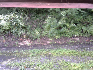 長野県菅平高原 ゆたか山荘 南側 2025/08/23 09:45