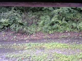 長野県菅平高原 ゆたか山荘 南側 2025/08/23 10:00