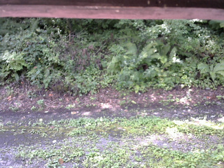 長野県菅平高原 ゆたか山荘 南側 2025/08/23 10:15