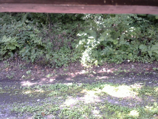 長野県菅平高原 ゆたか山荘 南側 2025/08/23 10:30