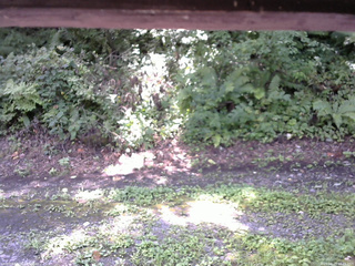 長野県菅平高原 ゆたか山荘 南側 2025/08/23 10:45