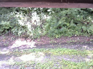 長野県菅平高原 ゆたか山荘 南側 2025/08/23 11:00