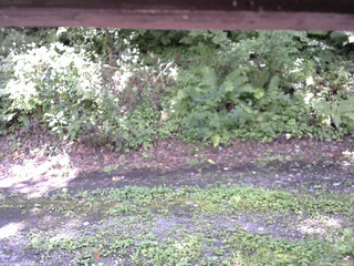 長野県菅平高原 ゆたか山荘 南側 2025/08/23 11:15