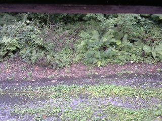 長野県菅平高原 ゆたか山荘 南側 2025/08/23 11:30