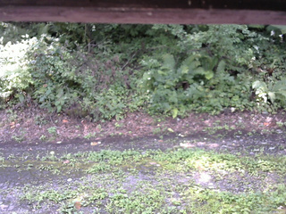 長野県菅平高原 ゆたか山荘 南側 2025/08/23 11:45