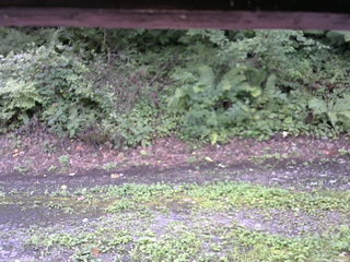 長野県菅平高原 ゆたか山荘 南側 2025/08/23 12:00