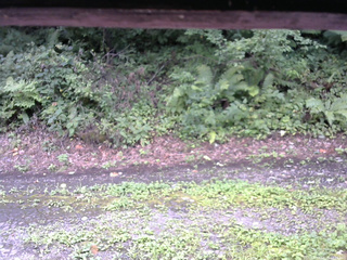 長野県菅平高原 ゆたか山荘 南側 2025/08/23 12:15