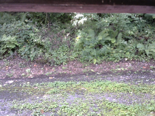 長野県菅平高原 ゆたか山荘 南側 2025/08/23 12:30