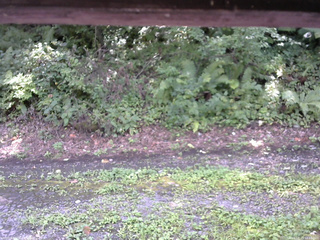 長野県菅平高原 ゆたか山荘 南側 2025/08/23 12:45