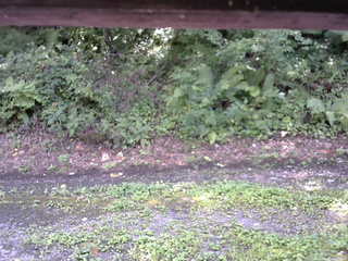 長野県菅平高原 ゆたか山荘 南側 2025/08/23 13:00