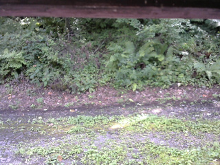 長野県菅平高原 ゆたか山荘 南側 2025/08/23 13:15