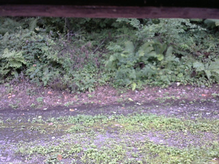 長野県菅平高原 ゆたか山荘 南側 2025/08/23 13:30