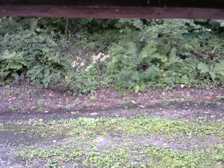 長野県菅平高原 ゆたか山荘 南側 2025/08/23 13:45