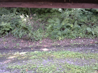 長野県菅平高原 ゆたか山荘 南側 2025/08/23 14:00