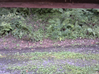 長野県菅平高原 ゆたか山荘 南側 2025/08/23 14:15