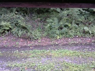 長野県菅平高原 ゆたか山荘 南側 2025/08/23 14:30