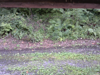 長野県菅平高原 ゆたか山荘 南側 2025/08/23 14:45