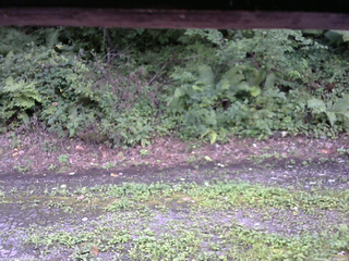 長野県菅平高原 ゆたか山荘 南側 2025/08/23 15:00