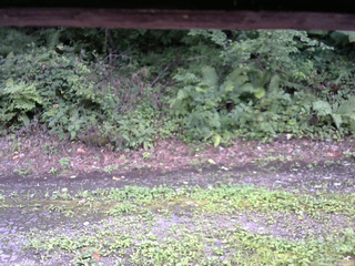 長野県菅平高原 ゆたか山荘 南側 2025/08/23 15:15